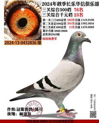 华信俱乐部决赛11名站站加亚军