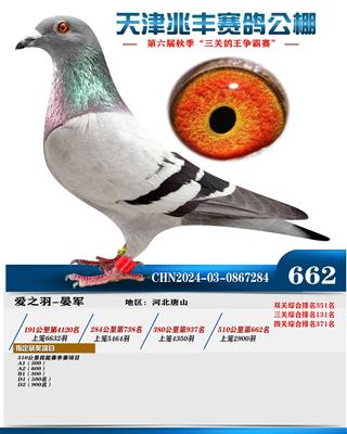 2024年兆丰公棚