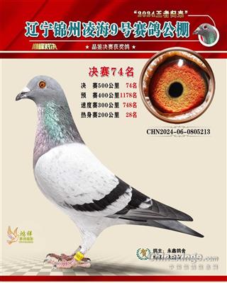 24年输出公棚决赛74名