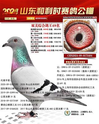 骠马3404