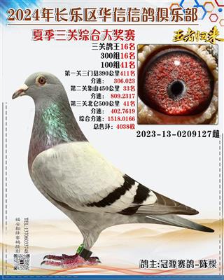 三关鸽王16名