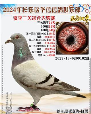 三关鸽王21名