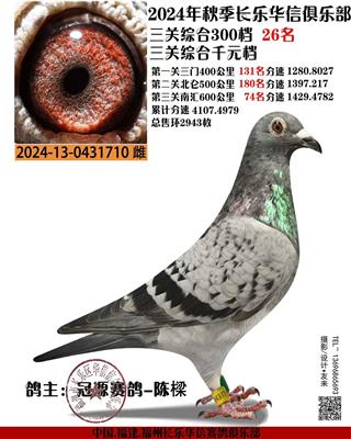三关鸽王26名