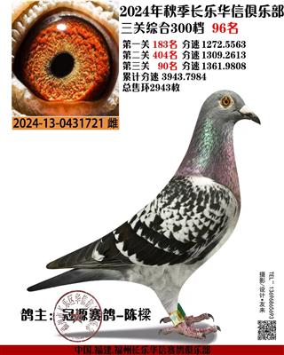 三关鸽王96名（利奥米卡直子X汉武帝回）