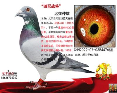 天南铜都94、335名舅舅