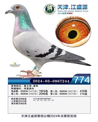 2024年江盛源公棚
