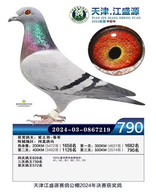 2024年江盛源公棚