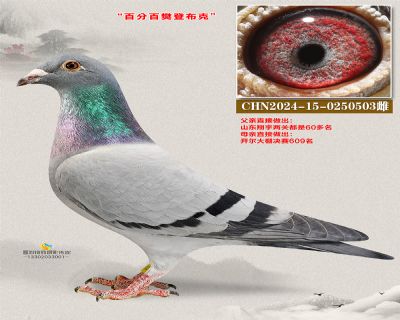 樊登布克友谊号