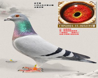 沂蒙决赛亚军全平辈