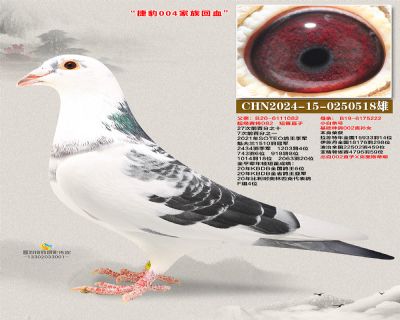 捷豹004回血 花花公子