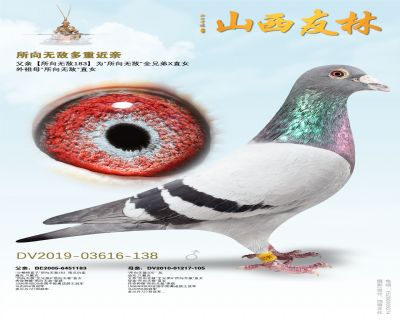 所向无敌多重近亲