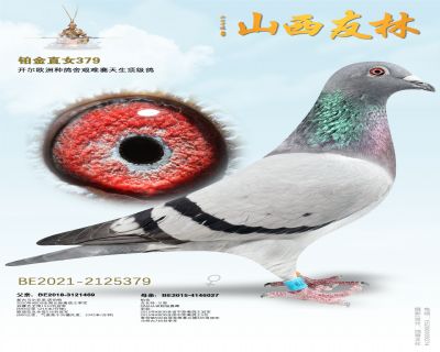 吉瓦特.兰努“铂金”直女