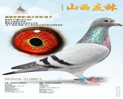 盖比“超级罗密欧”直子