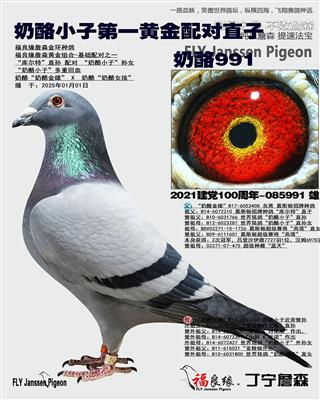 奶酪小子第一黄金配对直子-奶酪991