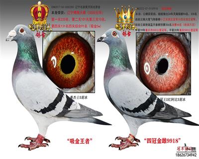 博翔5000环三关10位X22名女儿