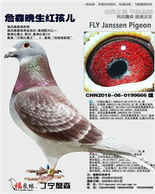 詹森晚生红孩儿