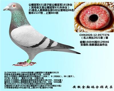 勃默德0577276