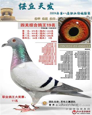 24年秋任丘天发俱乐部四关综合19名