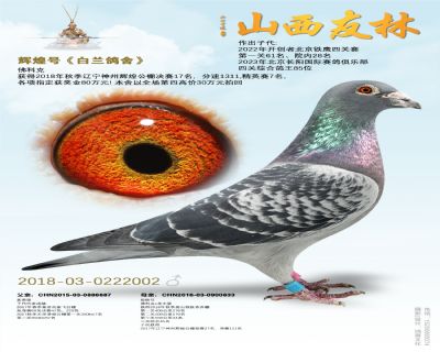 “辉煌号”神州辉煌17名
