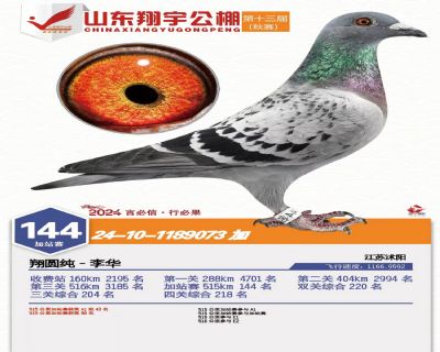 山东翔宇加站144名