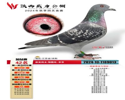 陕西威力加站42名