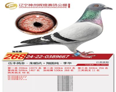 神州辉煌加站268名