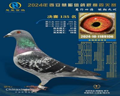 西安慧能四关61名、决赛135名