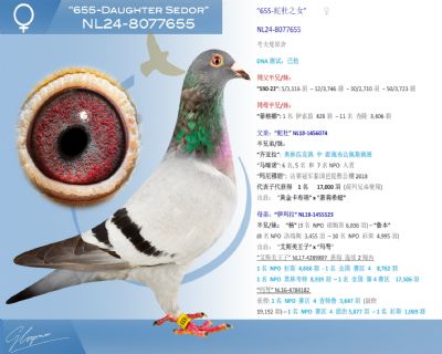 考夫曼655-蛇杜之女（玛奴外孙女）