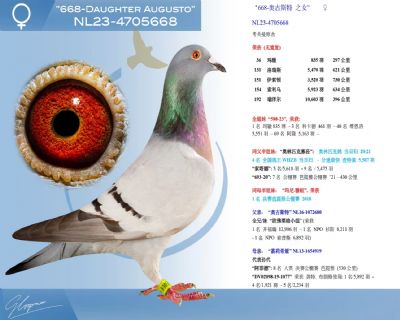 考夫曼668-奥古斯特之女