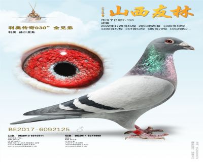 “ 利奥传奇030”全兄弟