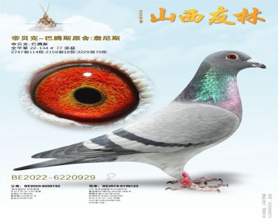 帝贝克.巴腾斯“詹尼斯929”