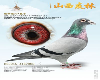 新幸运77*直子