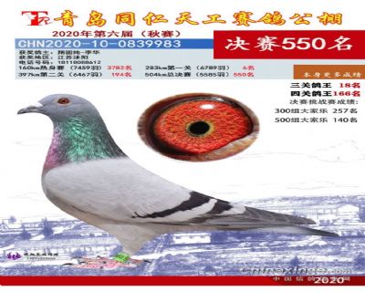 青岛同仁天工550名、三关鸽王18名