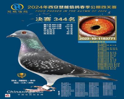 四关鸽王5名、西安慧能344名