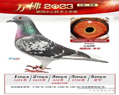 万佛加站赛亚军、缴费冠军