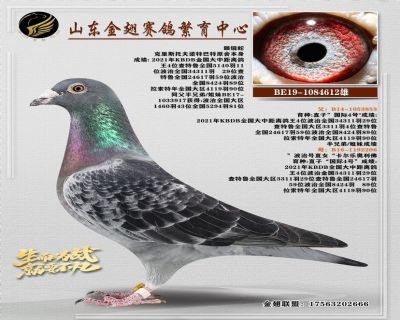 克里斯托夫.诺特巴特