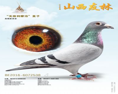 恩格斯“无敌利蒙治”直子