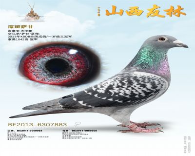 “深班萨根”萨根全平辈