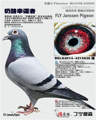 奶酪幸运者 卡米拉599直子