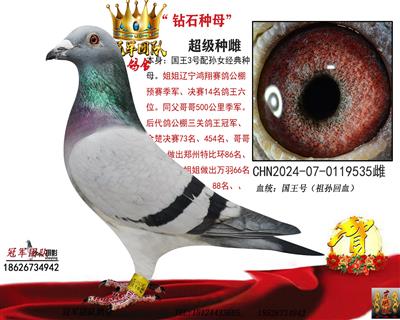 “国王号”钻石王后