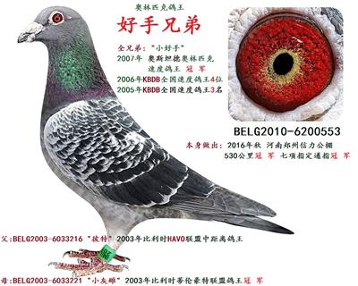 好手兄弟