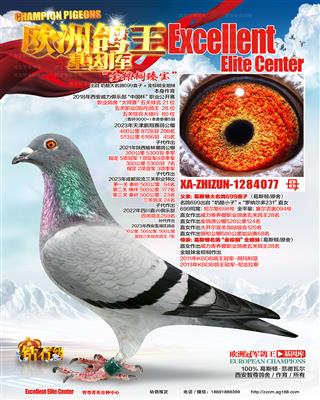 金棕榈（非卖品）