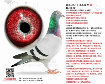 【新闪电号】图勒全国冠军