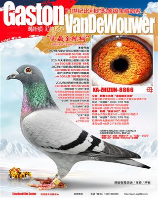 金棕榈公棚40名母