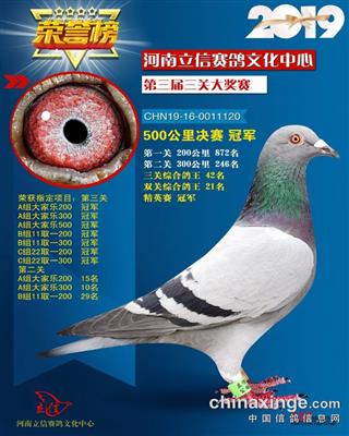2019年河南立信公棚决赛冠军