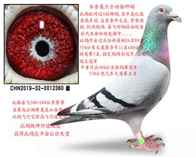 桑杰士超级种雄