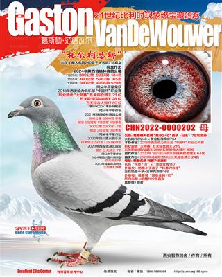 240孙女718外孙女