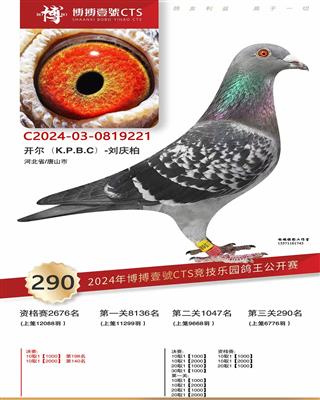 24年秋陕西博搏决赛290名