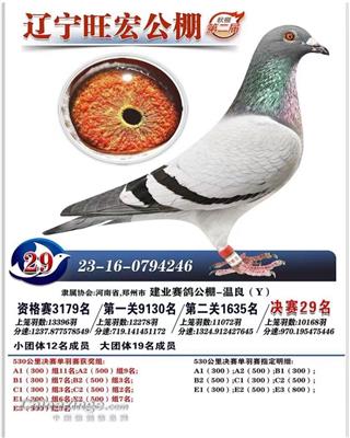 辽宁旺宏公棚决赛29名