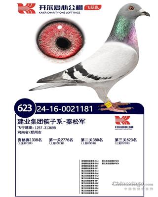 开尔爱心公棚（飞跃队）决赛623名